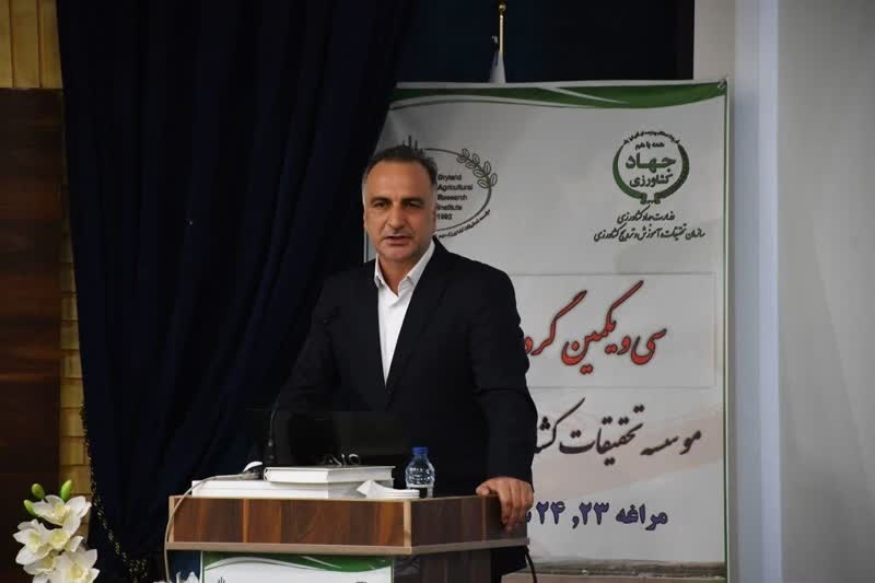 برداشت ۸ میلیون تن محصول از ۶ میلیون هكتار دیم در سال گذشته